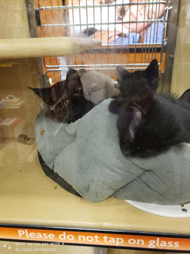 Pet Supply Store «PetSmart», reviews and photos, 1380 Fitzgerald Dr, Pinole, CA 94564, USA
