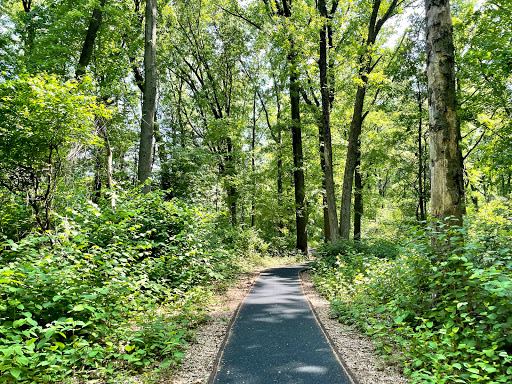 Park «Conant Park», reviews and photos, 310 Conant St, Hillside, NJ 07205, USA