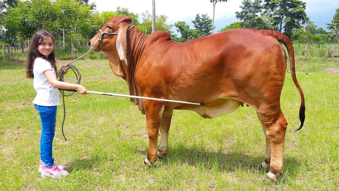 Establos LA MARGARITA