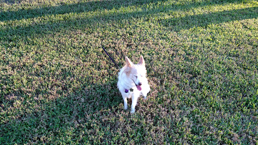 Country Club «Temple Terrace Golf & Country Club», reviews and photos, 200 Inverness Ave, Temple Terrace, FL 33617, USA