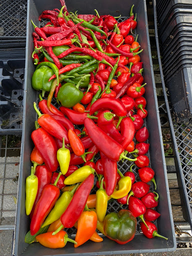 Florist «Butler Florist & Garden Center», reviews and photos, 416 Park Rd, West Hartford, CT 06119, USA