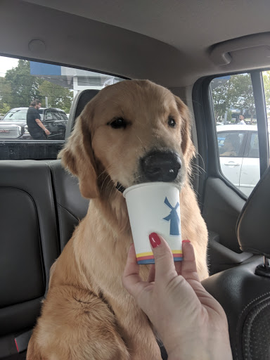 Car Wash «7 Flags Full Service Car Wash & Detail Center», reviews and photos, 108 Elmira Rd, Vacaville, CA 95687, USA