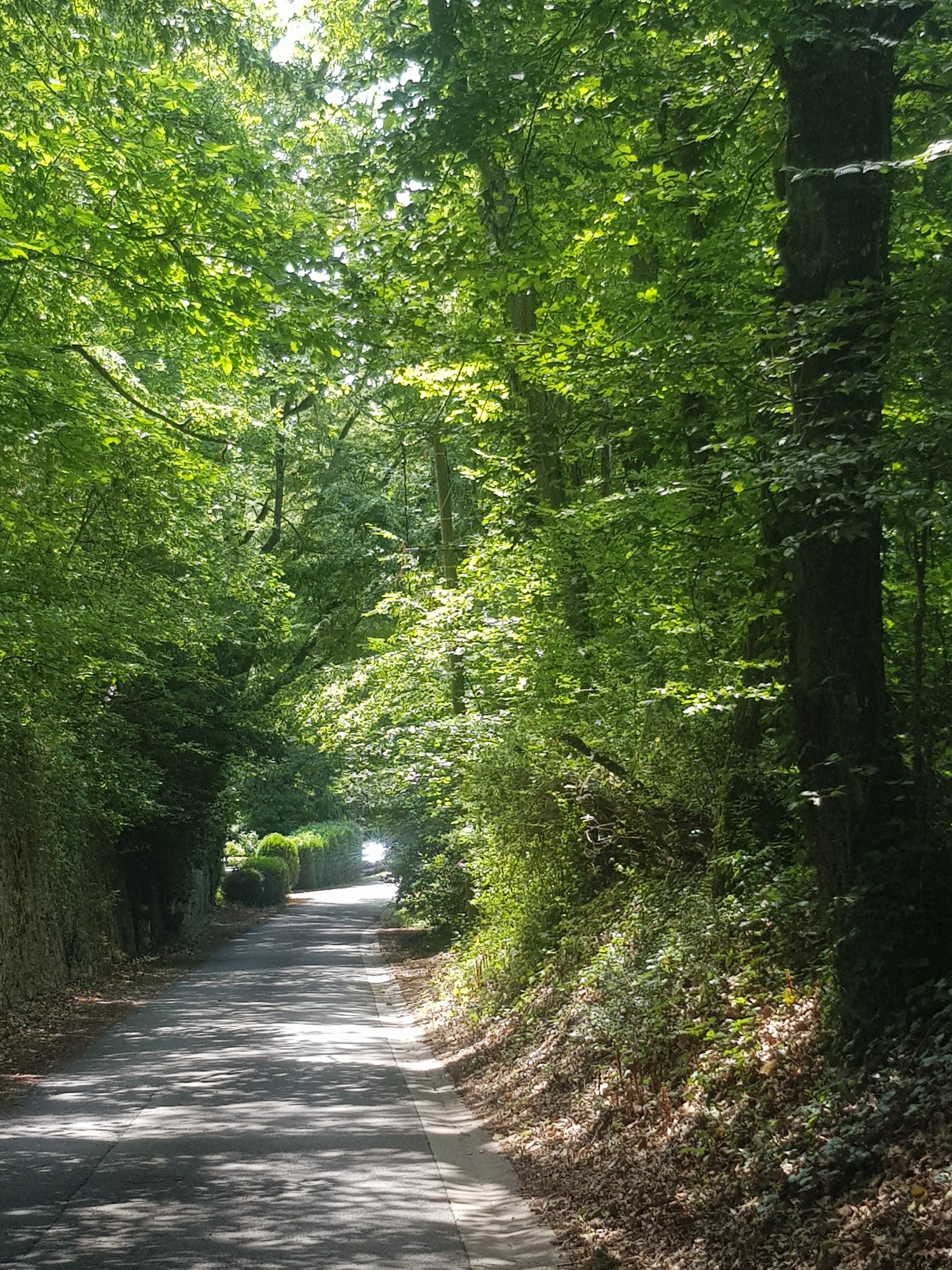 Photo n° 1 de l'avis de Nicolas.a fait le 06/07/2023 à 14:12