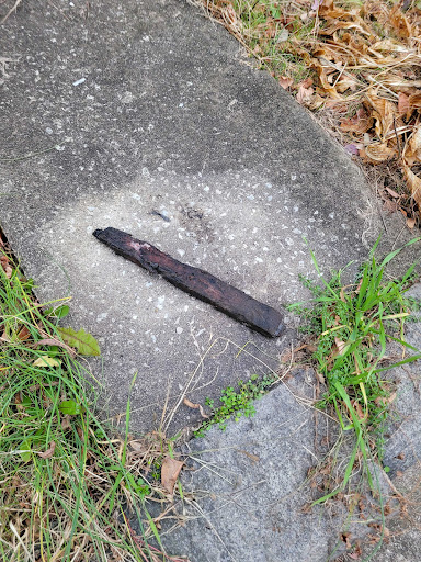 Plumber «Roto-Rooter Plumbing & Drain Services», reviews and photos, 4821 Longshore Ave c, Philadelphia, PA 19135, USA