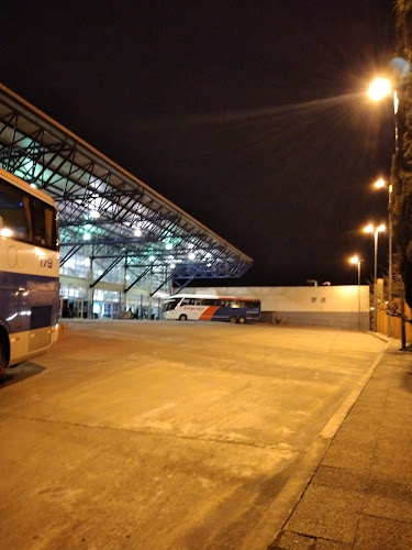 Terminal Mercedes - Servicio de transporte