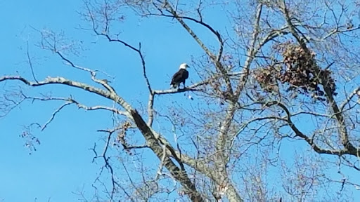 National Park «Charles Pinckney National Historic Site», reviews and photos, 1254 Long Point Rd, Mt Pleasant, SC 29464, USA