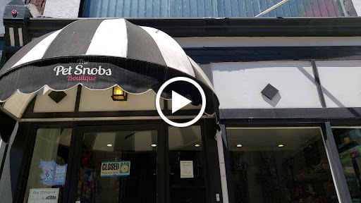 Pet Supply Store «The Pet Snobs Boutique», reviews and photos, 534 S 4th St, Philadelphia, PA 19147, USA
