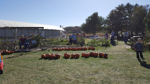 Produce Market «Kroul Farms», reviews and photos, 245 IA-1, Mt Vernon, IA 52314, USA