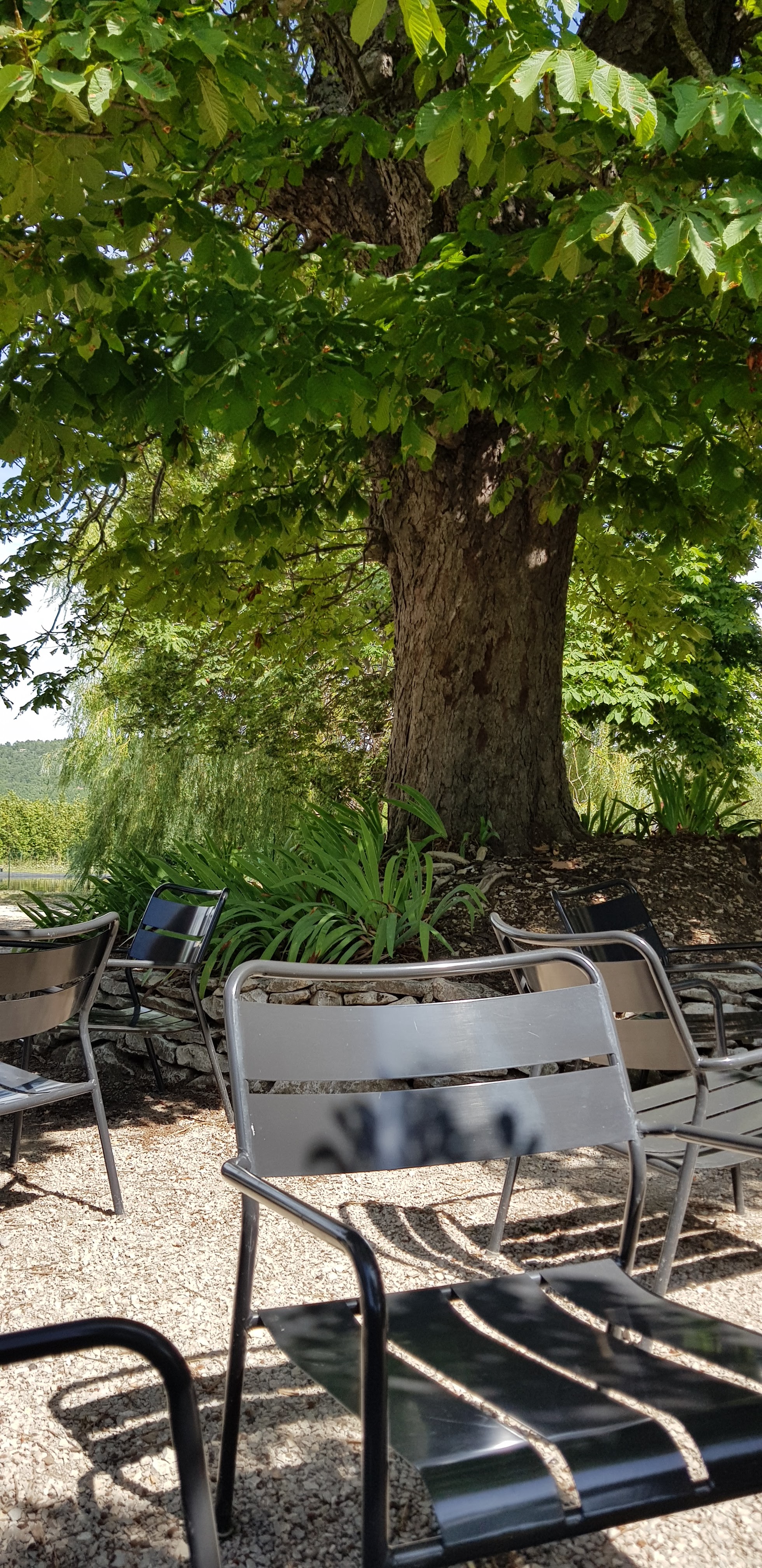 Photo n° 7 de l'avis de Christophe.r fait le 01/08/2019 à 14:04