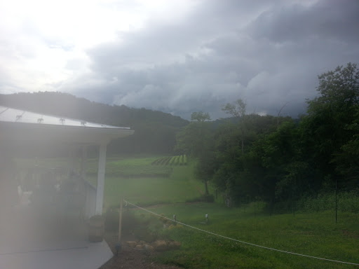 Winery «Loving Cup Vineyard & Winery», reviews and photos, 3340 Sutherland Rd, North Garden, VA 22959, USA