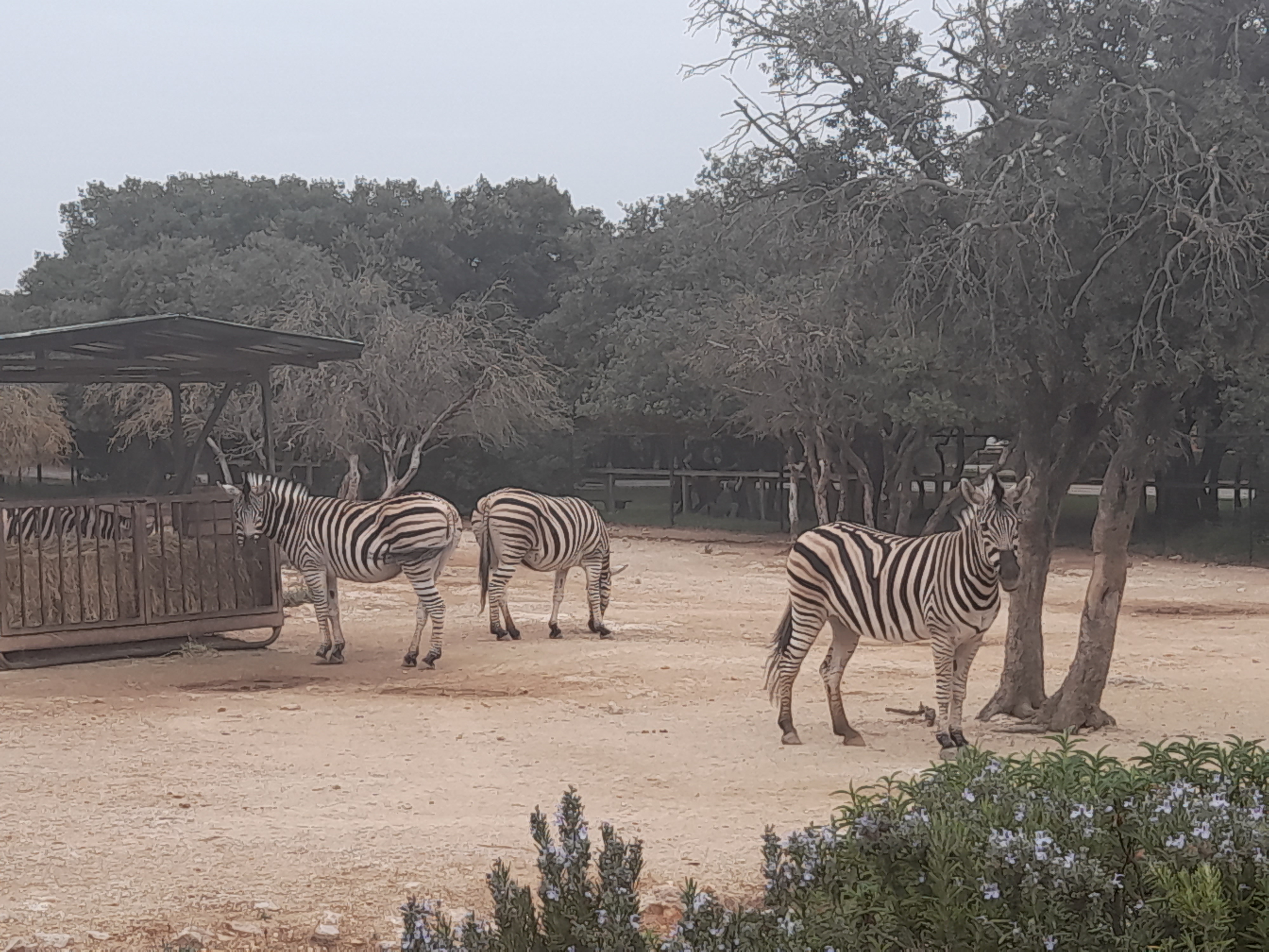 Photo n° 9 de l'avis de Rajaa.l fait le 23/10/2022 à 18:51