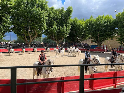 Arènes de Manduel à Manduel