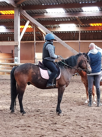 Centre Equestre de Drocourt - Ecole d'équitation Cheval Poney - Pension