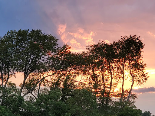 Department Store «Walmart Supercenter», reviews and photos, 1550 Nashville Rd, Franklin, KY 42134, USA