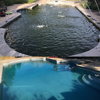 Diamond Image Pool Service - Photo 8 - Car repair in , Fairfield