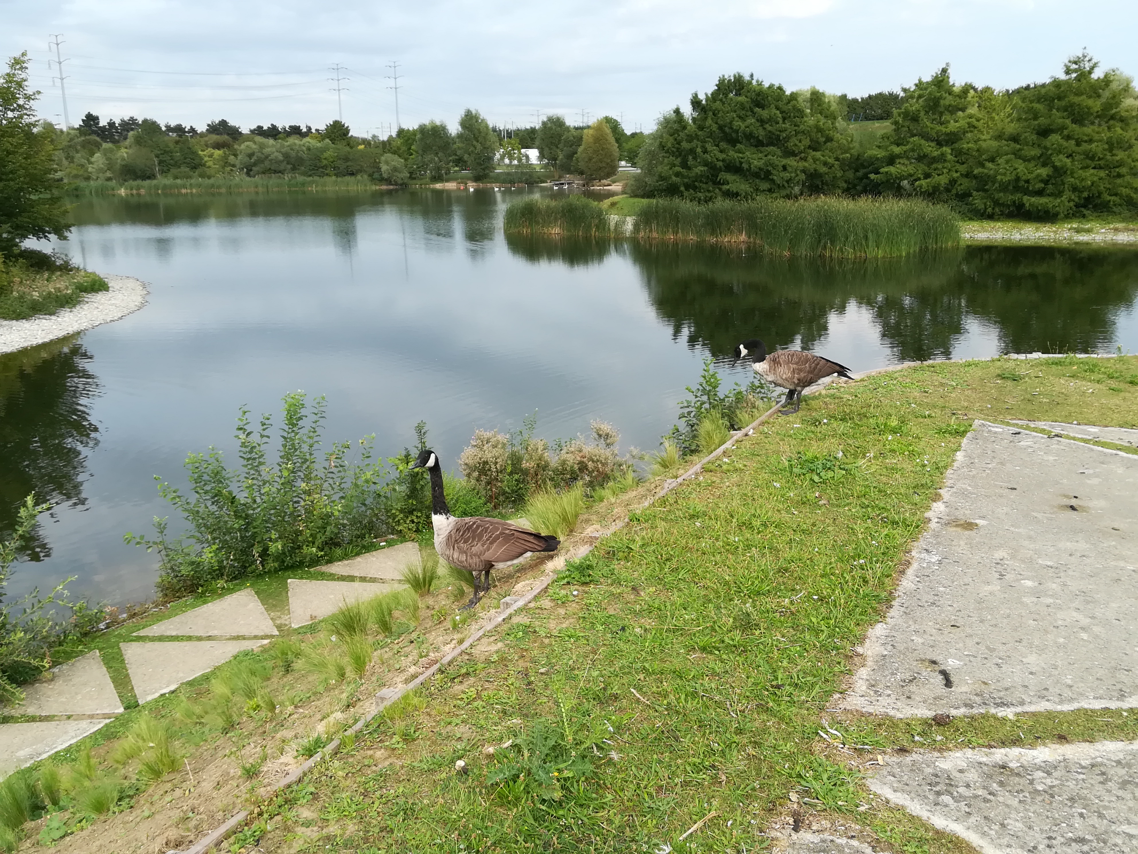 Photo n° 3 de l'avis de Phil.a fait le 26/08/2017 à 15:11