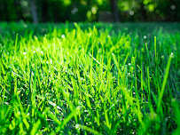 TruGreen Lawn Care - Photo 8 - Car repair in Chicopee, MA, Springfield