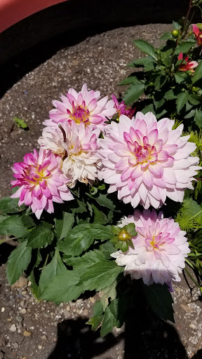 Zoo «Hemker Park & Zoo», reviews and photos, 26715 County Road 39, Freeport, MN 56331, USA