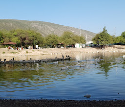 La Laguna Solidaridad photo