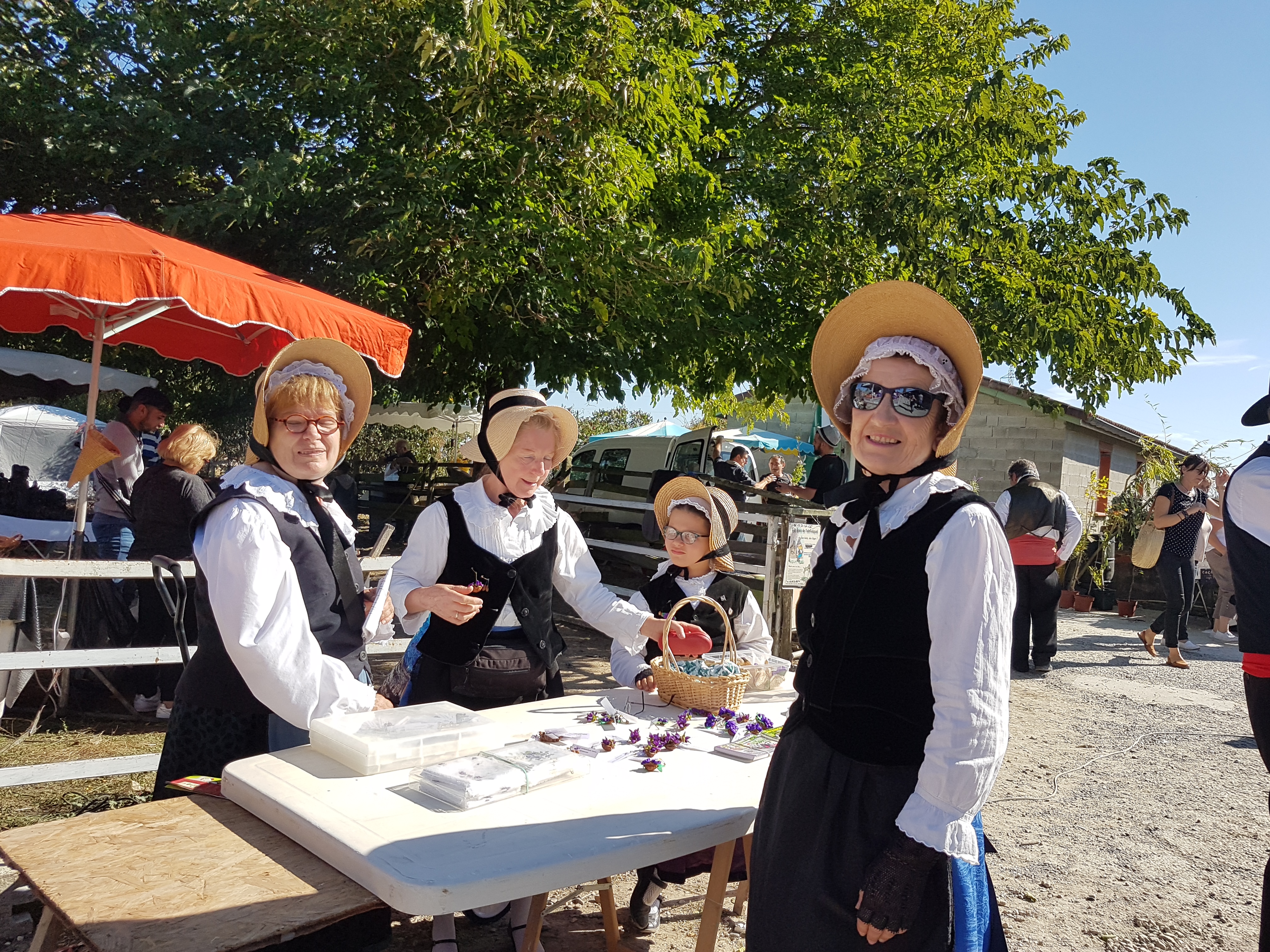 Photo n° 9 de l'avis de Martine.o fait le 14/10/2018 à 20:08