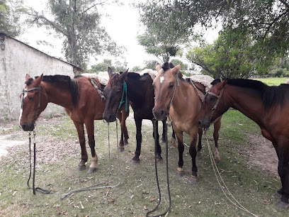 'Los Carros' Paseos A Caballos Y Lanchas, Nene