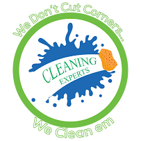 #1 Cleaning Experts - Photo 4 - Car repair in Southfield, MI, Detroit