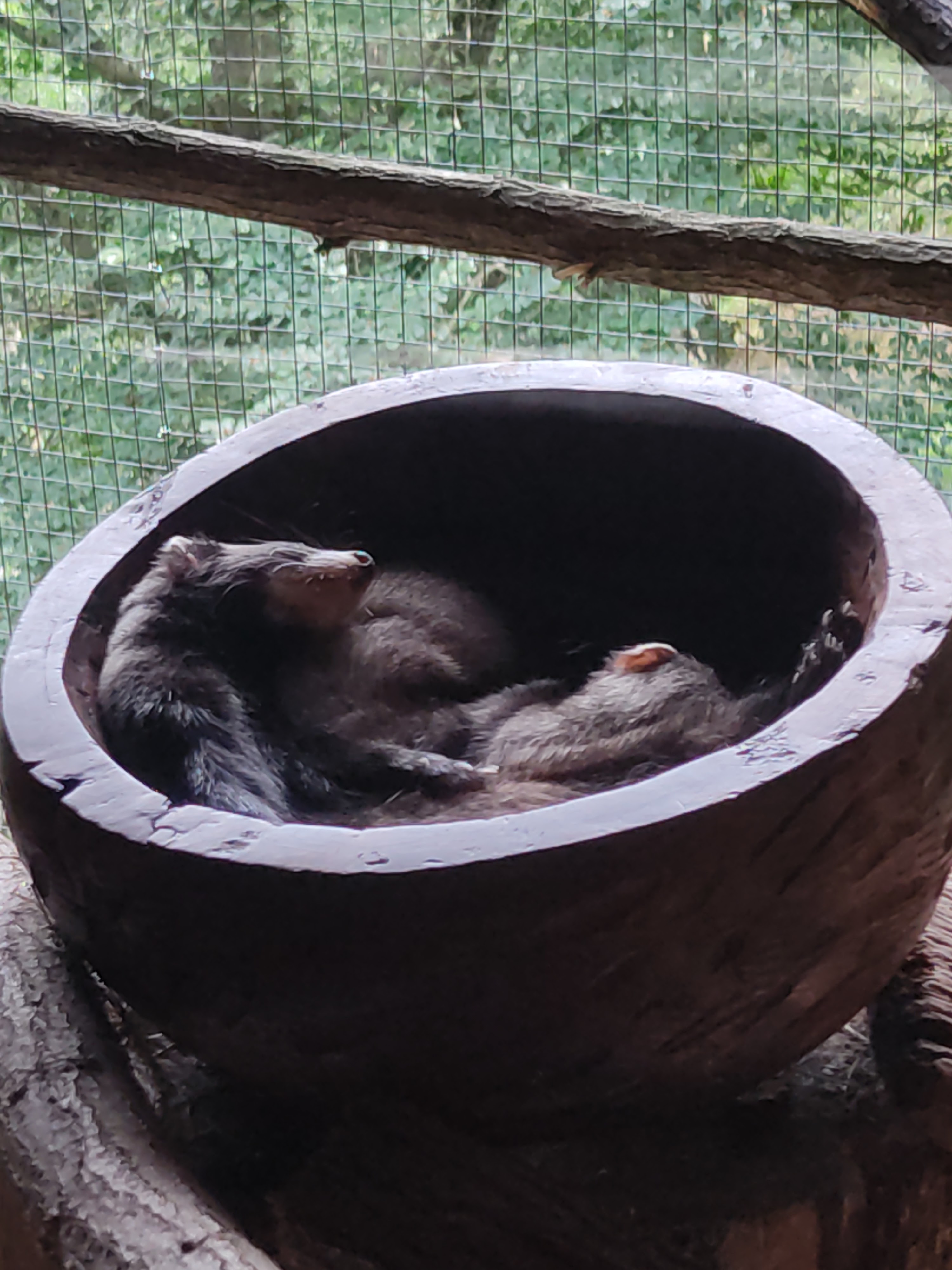 Photo n° 1 de l'avis de David.i fait le 18/11/2019 à 20:29