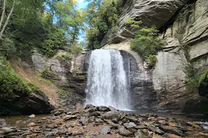 Looking Glass Falls image