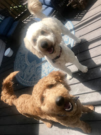 Mase & Co. - Photo 9 - Car repair in , Wichita