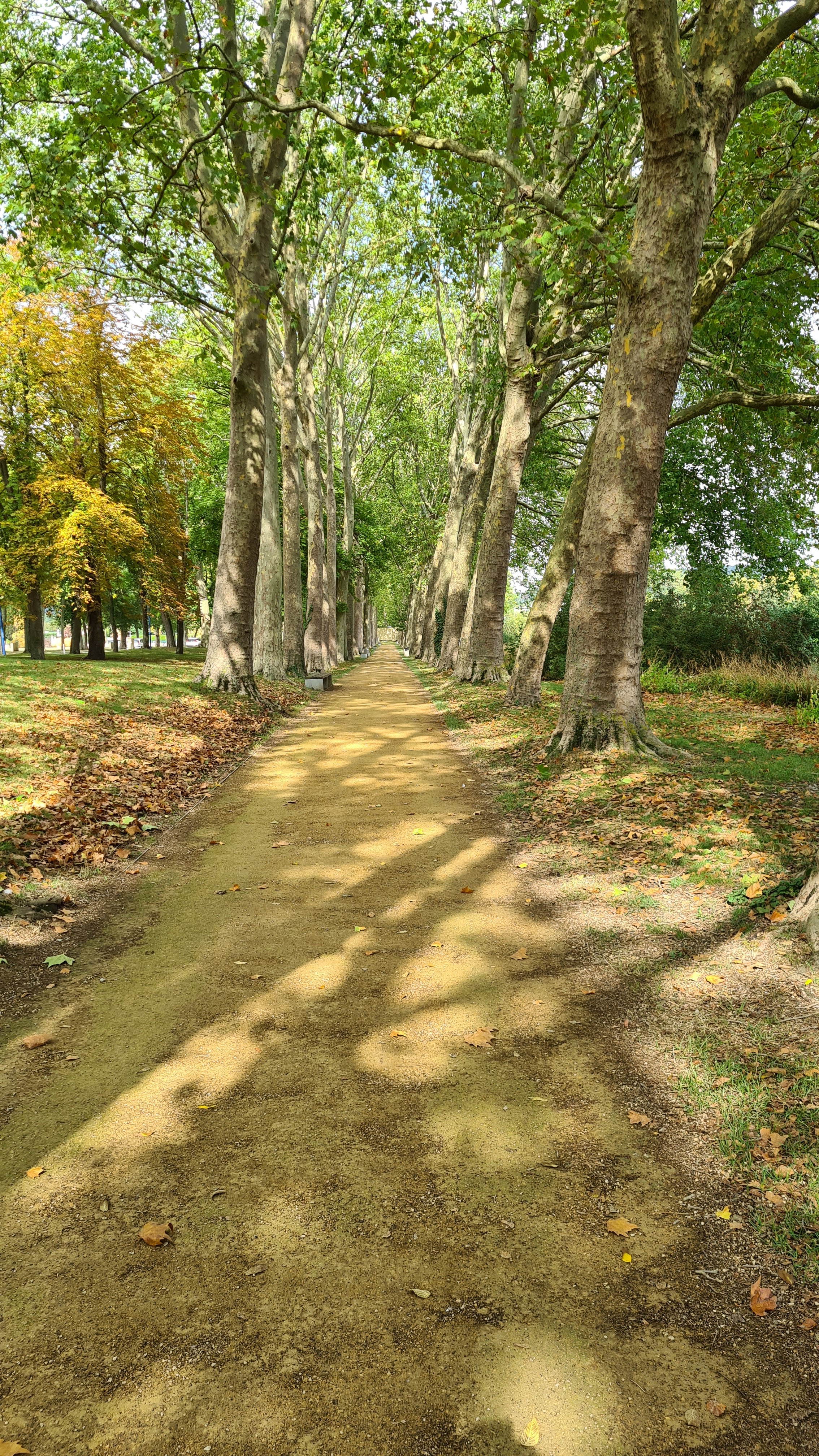 Photo n° 4 de l'avis de Pop.o fait le 24/09/2020 à 15:43