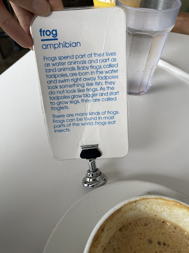 Coffee Shop «Cafe Javasti», reviews and photos, 8410 5th Ave NE, Seattle, WA 98115, USA