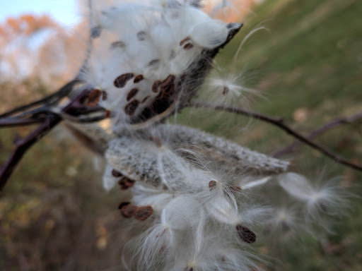 Observatory «United Astronomy Clubs of New Jersey», reviews and photos, 333 State Park Rd, Hope, NJ 07844, USA