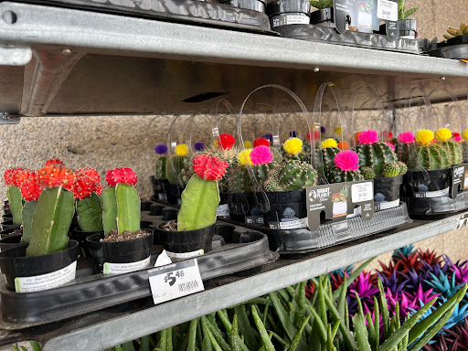 Home Improvement Store «The Home Depot», reviews and photos, 1326 Londontown Blvd, Sykesville, MD 21784, USA