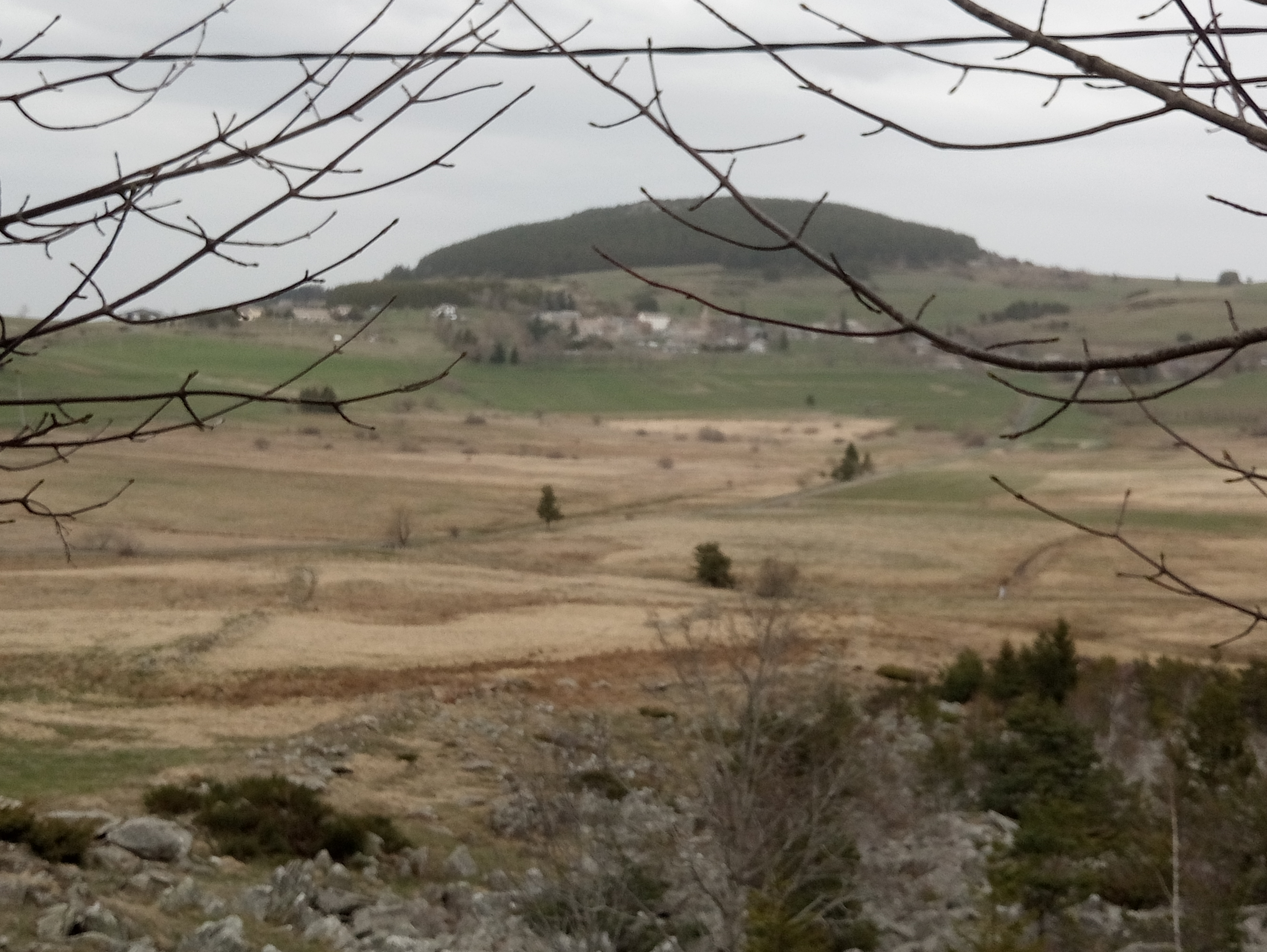 Photo n° 3 de l'avis de GIRAUD.R fait le 24/04/2019 à 16:10