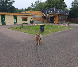 Bürgerpark Haarzopf photo
