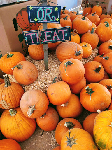 Arizona Pumpkin Patch