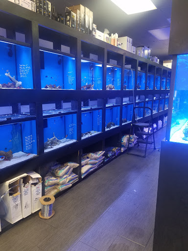 Tropical Fish Store «OceanLife Aquariums», reviews and photos, 5475 West Loop S, Houston, TX 77081, USA