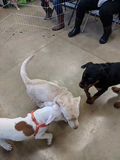 Pet Supply Store «Petco Animal Supplies», reviews and photos, 28400 Dequindre Rd, Warren, MI 48092, USA