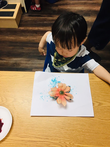 Day Care Center «Brimhurst KinderCare», reviews and photos, 1407 Parkway Plaza Dr, Houston, TX 77077, USA