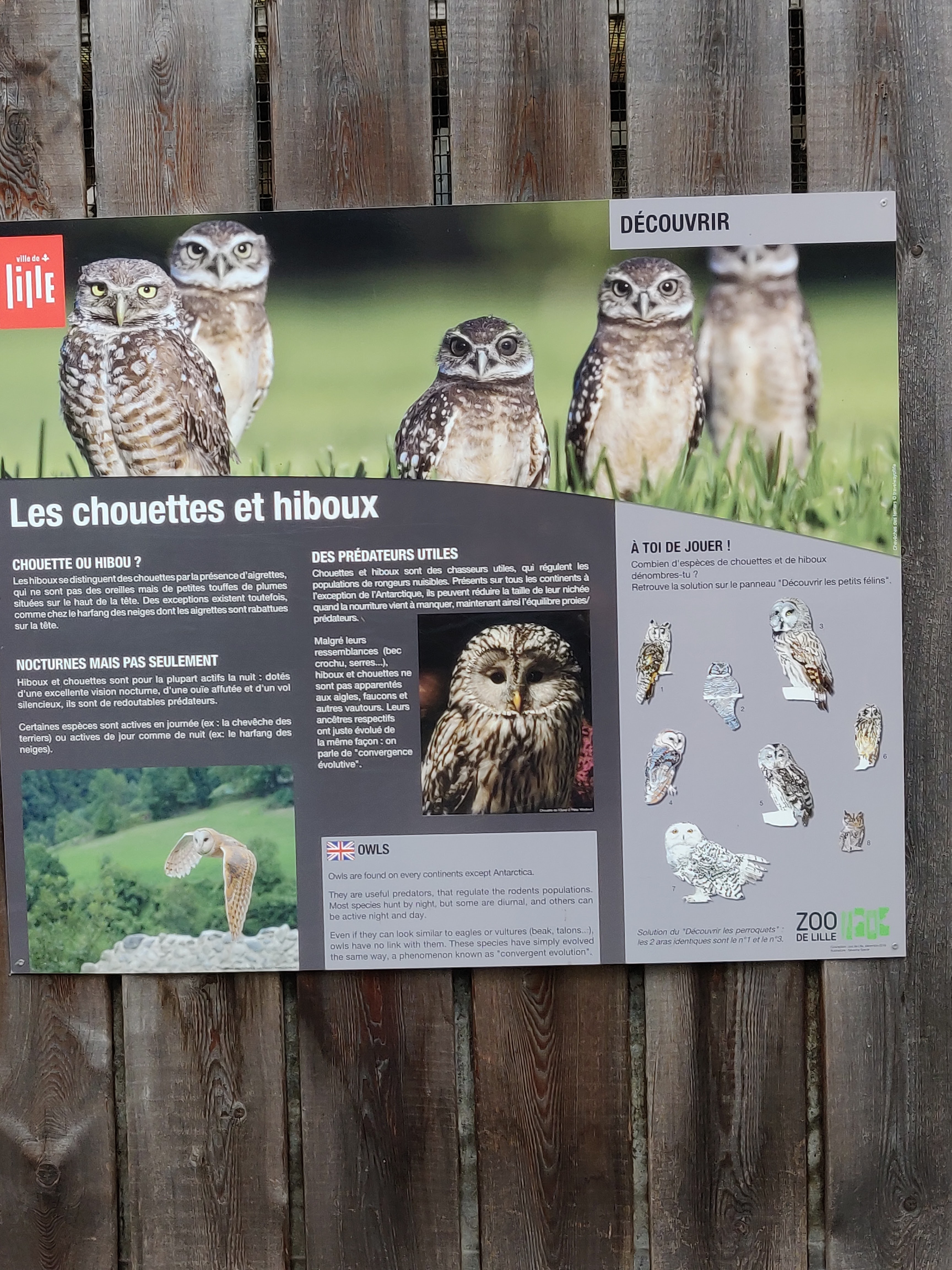 Photo n° 10 de l'avis de Amélie.e fait le 31/08/2019 à 17:39