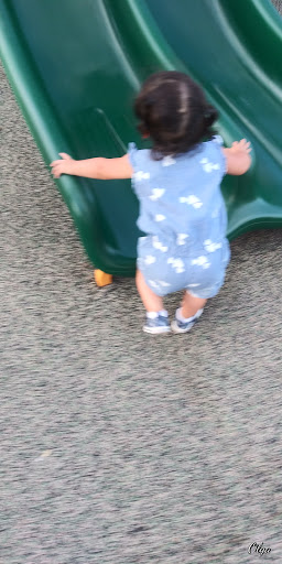 Park «Lackland Terrace Park», reviews and photos, 7902 Westshire Dr, San Antonio, TX 78227, USA