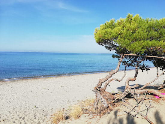 Anzak Koyu beach