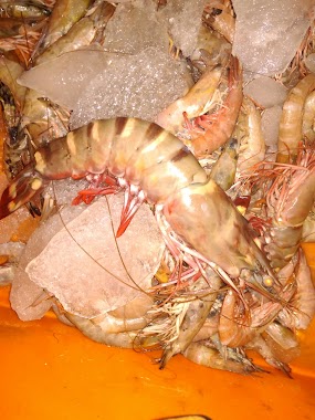 Sagar Poojan Sea Food