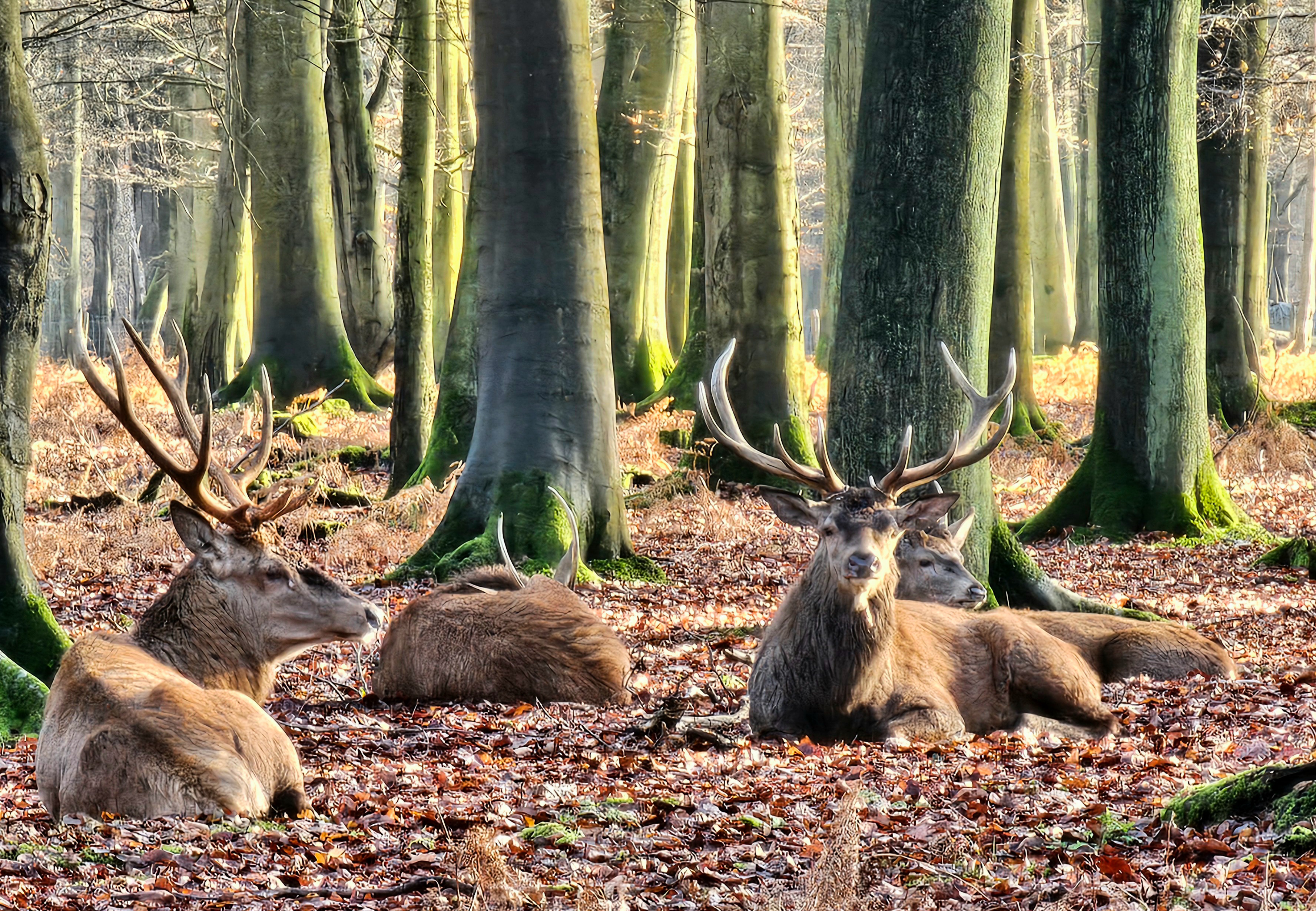 Photo n° 13 de l'avis de Nono.h fait le 09/12/2023 à 09:20
