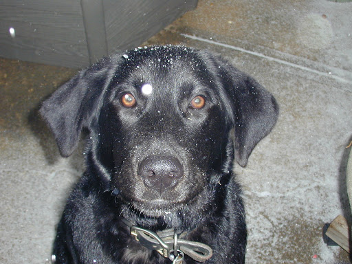 1700 N Harvey Rd, Seminole, OK 74868, USA