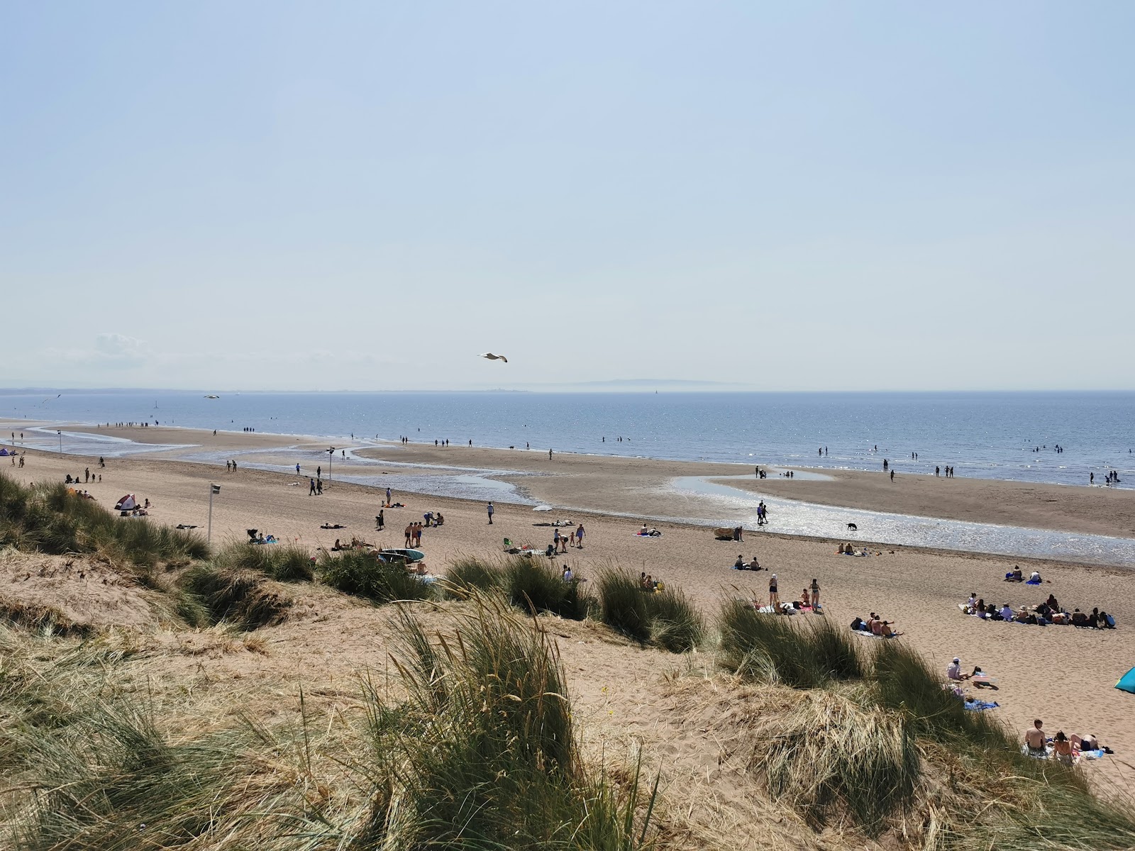 Fotografija Irvine Beach priljubljeno mesto med poznavalci sprostitve