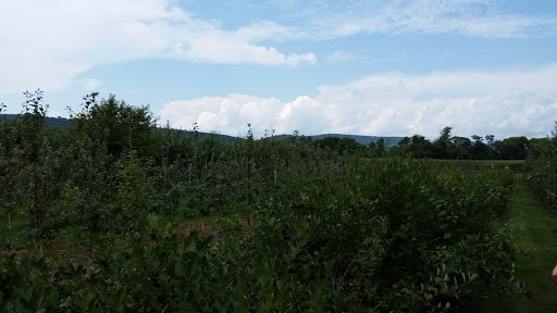 Cider Mill «Distillery Lane Ciderworks», reviews and photos, 5533 Gapland Rd, Jefferson, MD 21755, USA