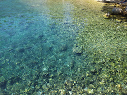 Plaza Otric'in fotoğrafı vahşi alan