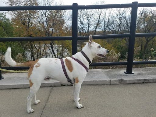 Tourist Attraction «Loop Island Wetlands», reviews and photos, 2200 E Main St, New Albany, IN 47150, USA
