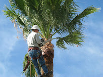 Arizona Environments Inc - Photo 7 - Car repair in , Gilbert